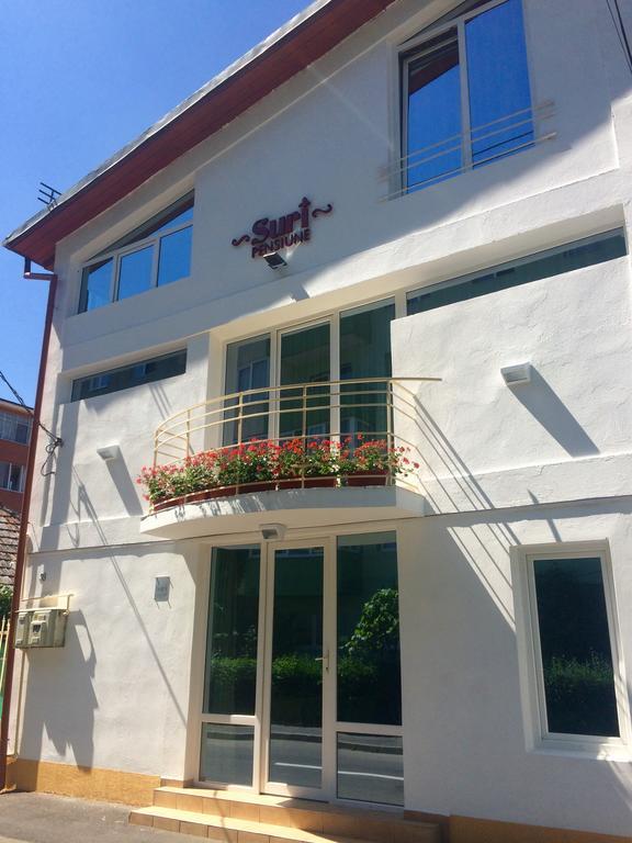 Suri Guesthouse Brașov Exterior foto